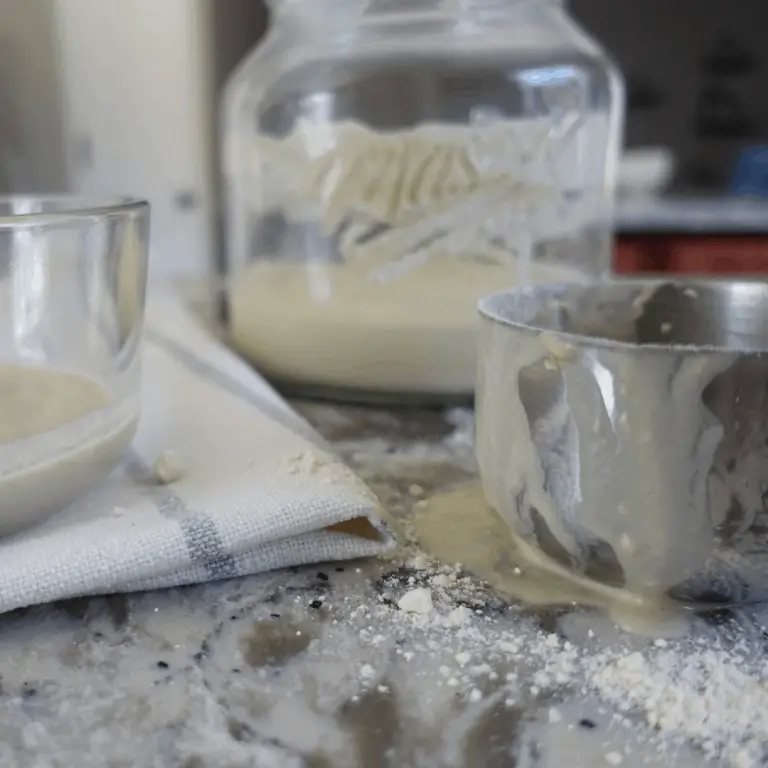 Bad Sourdough Starter - How to Revive It - Healthfully Rooted Home