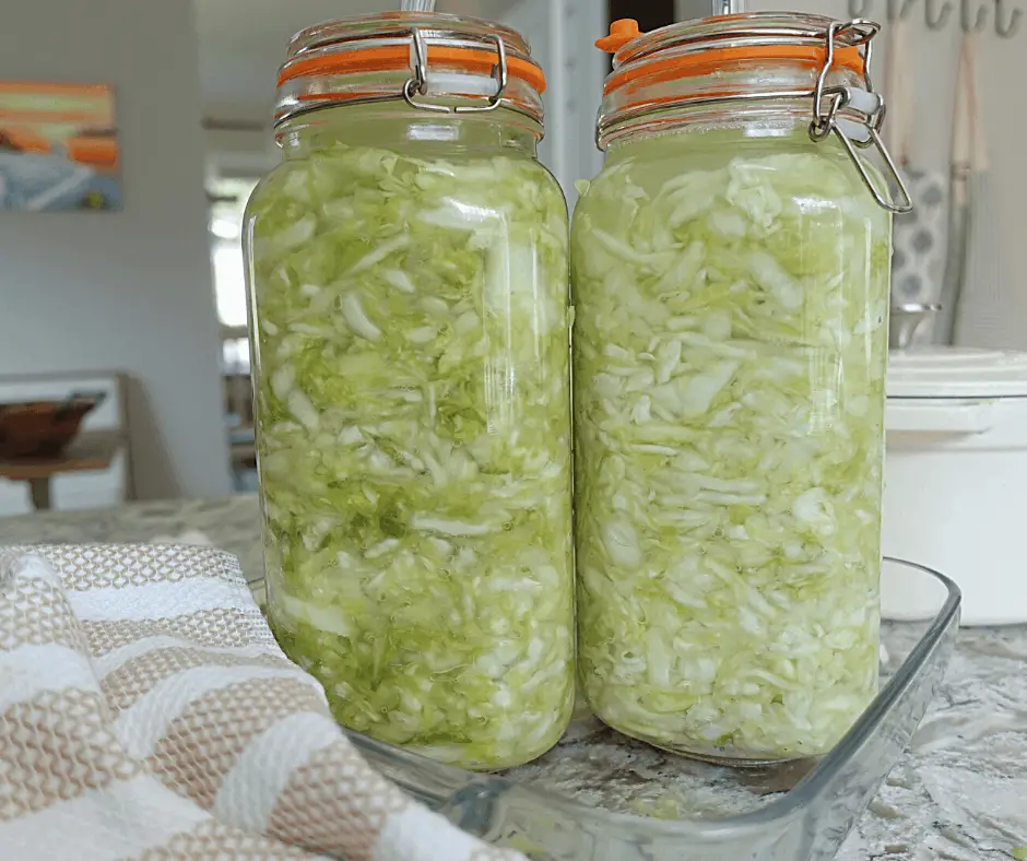 cabbage in fermenting mason jars and tea towel and aprons in the background