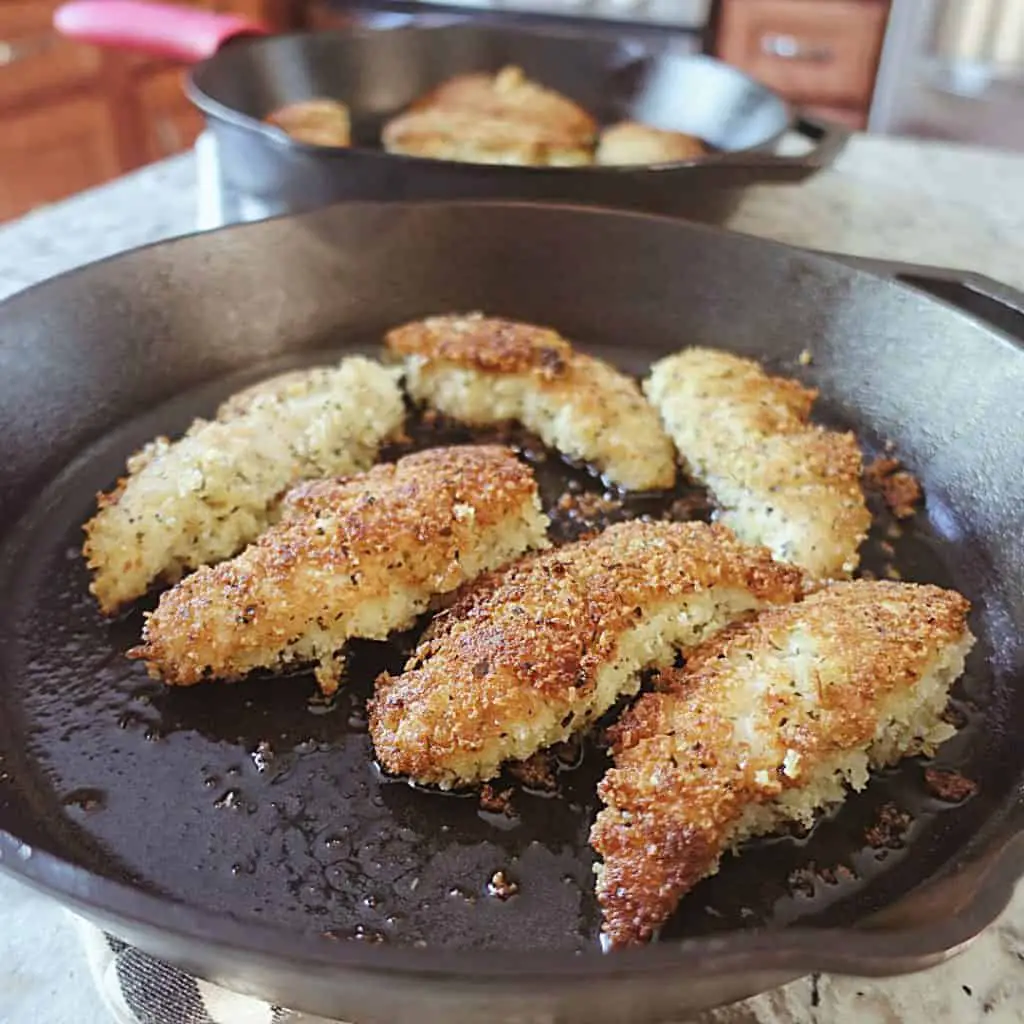 seasoned cast iron skillet with crusted chicken cooked in it