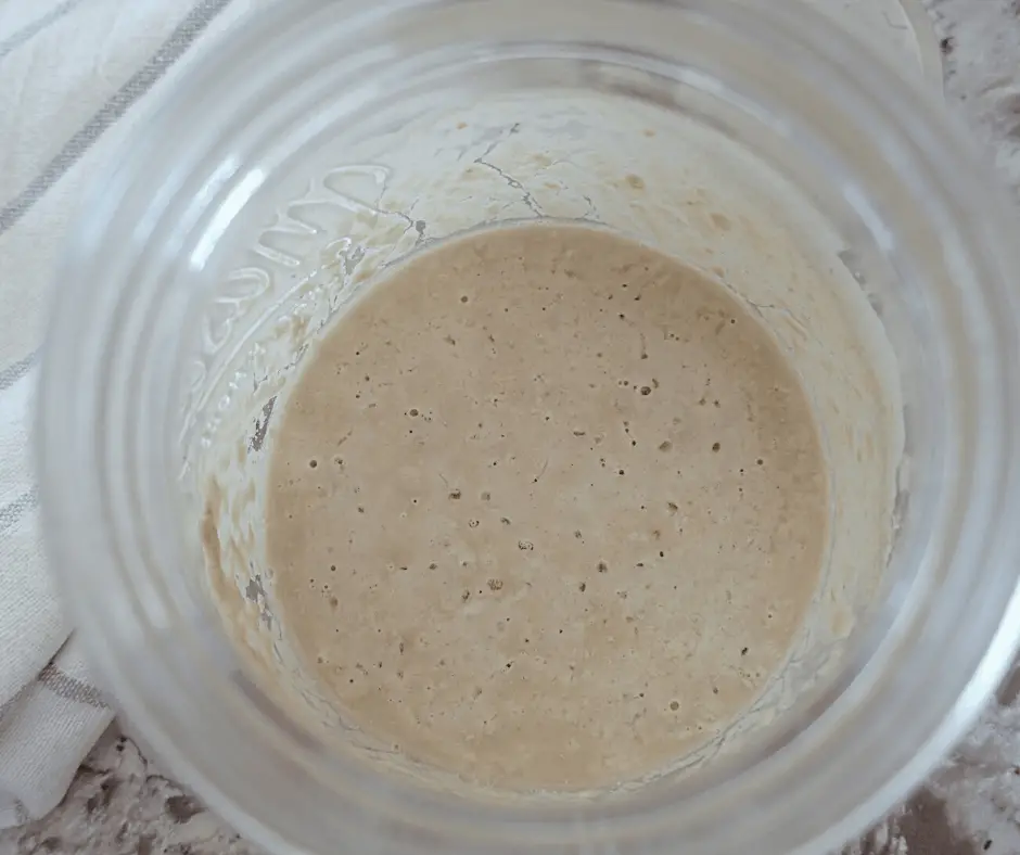 making natural yeast day two starter has bubbles