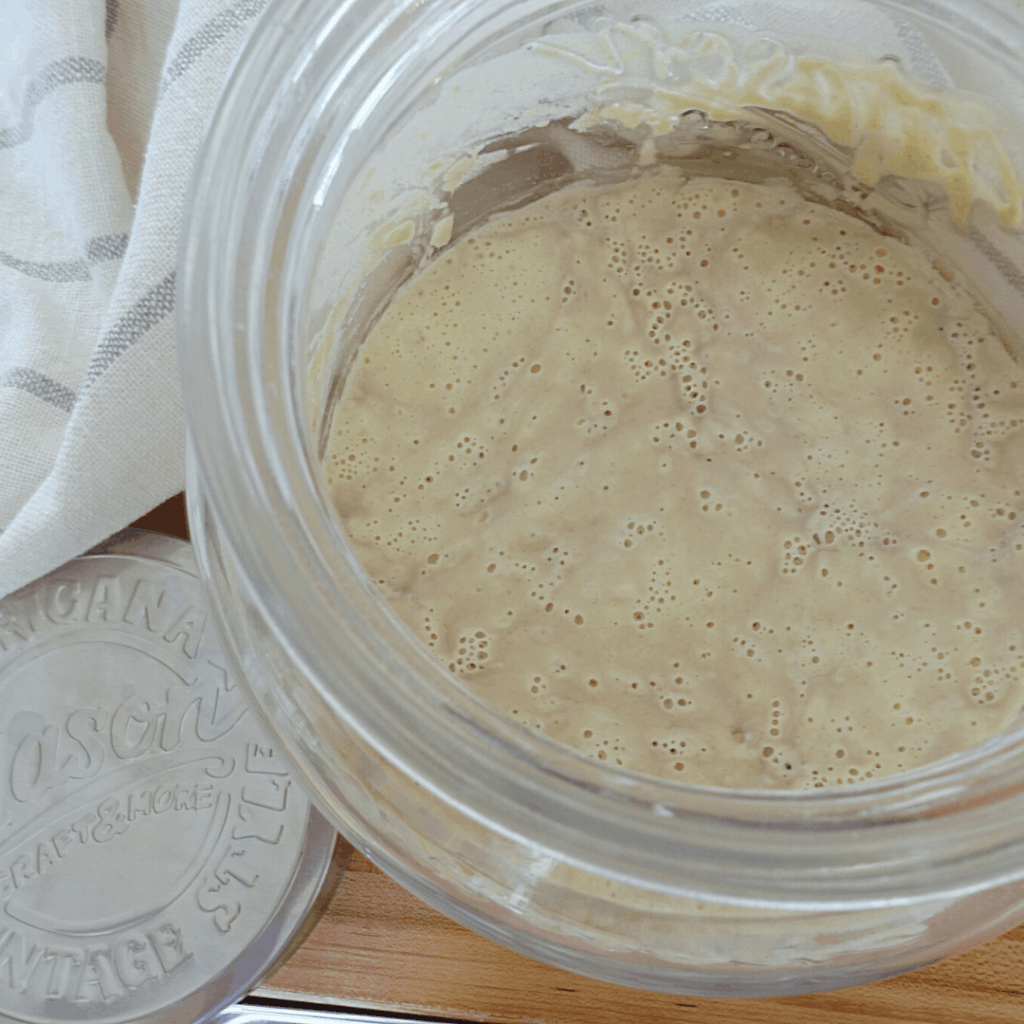 day 3 bubbly einkorn flour sourdough starter