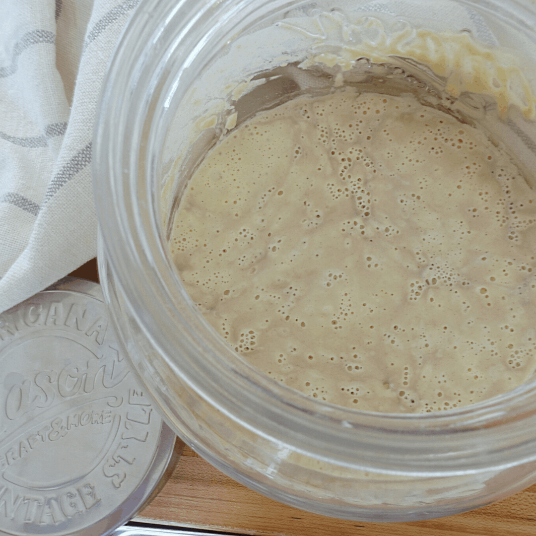 Bad Sourdough Starter How to Revive It Rooted Home