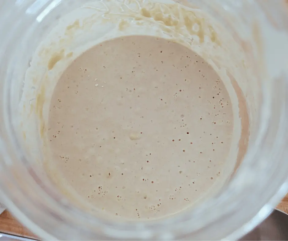 day 4 of natural yeast sourdough starter bubbles