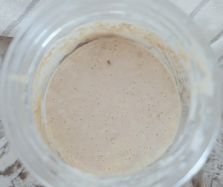 day 5 of making natural yeast sourdough starter bubbles