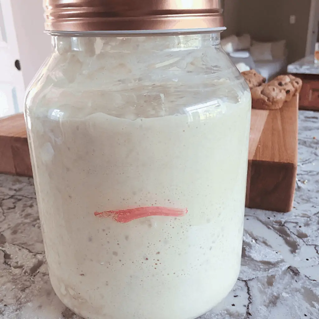 natural yeast sourdough starter doubled in size after feeding