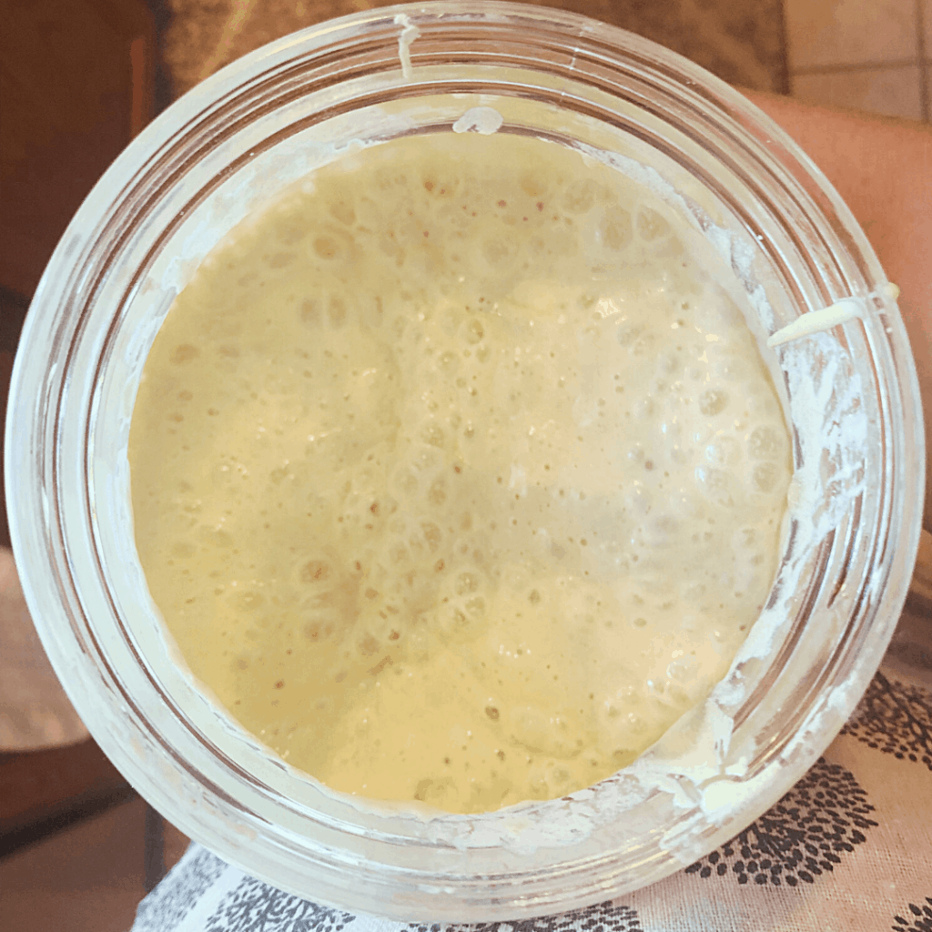 natural yeast sourdough starter after a feeding with lots of bubbles