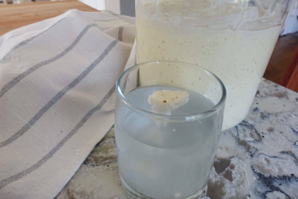 mature einkorn sourdough starter float test with tea towel