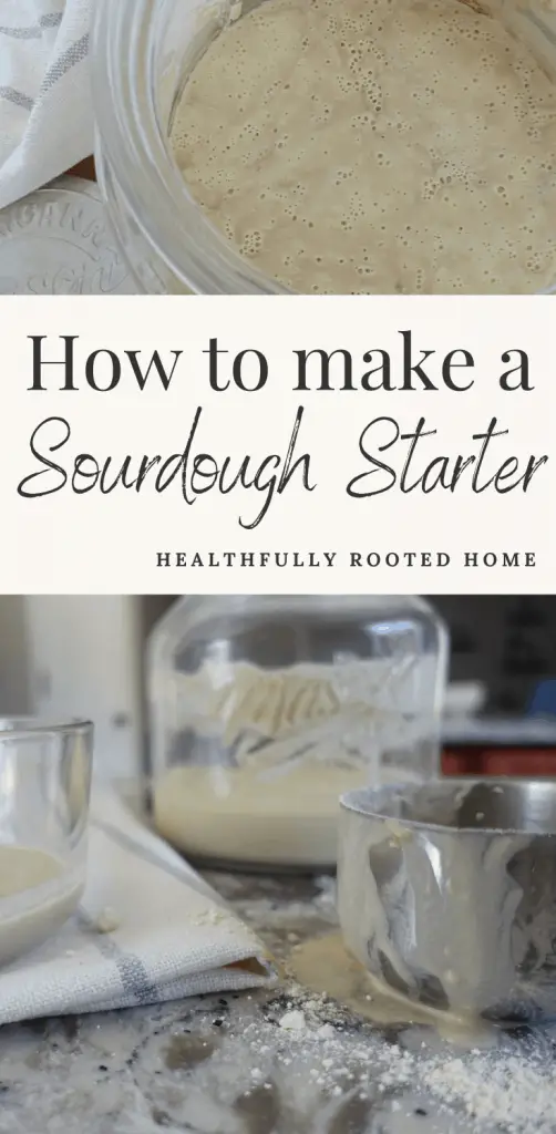 how to make a sourdough starter with bubbly sourdough starter on top and materials on bottom