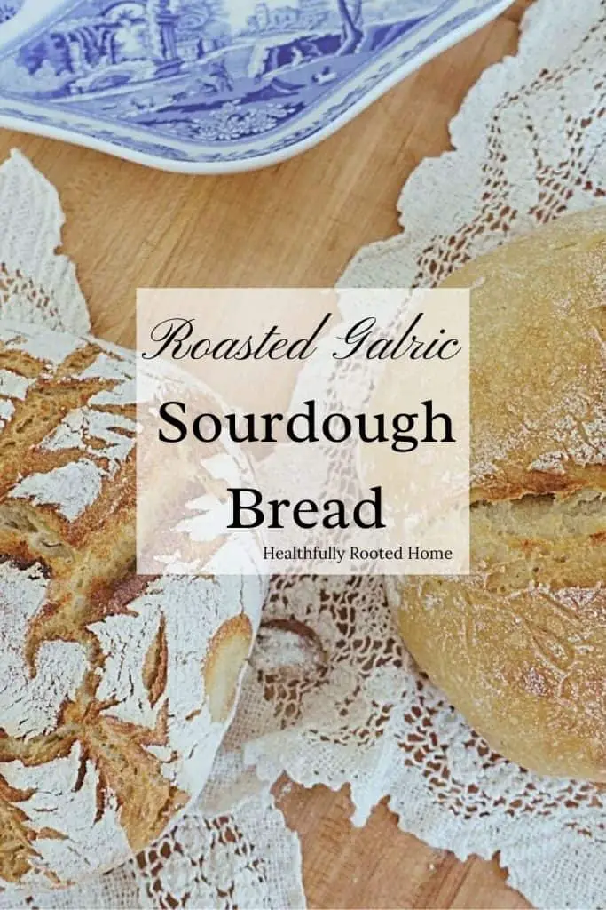 This no-knead sourdough bread recipe has delicious pockets of roasted garlic and is so fluffy on the inside. My tutorial makes it easy to follow along!