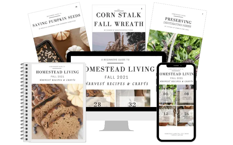free ebook homestead living fall edition