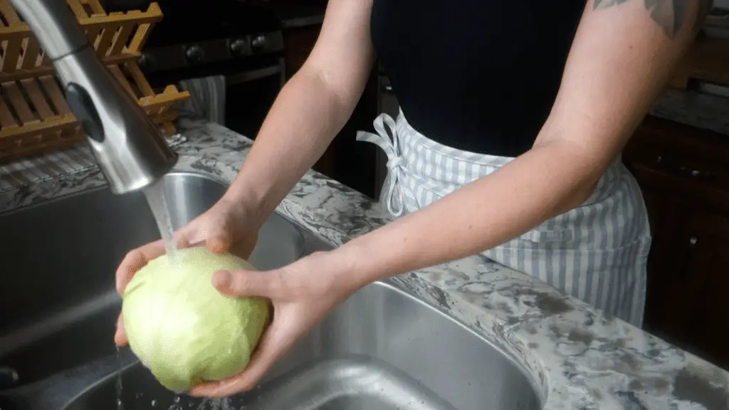 rinsing organic cabbage head in the sink
