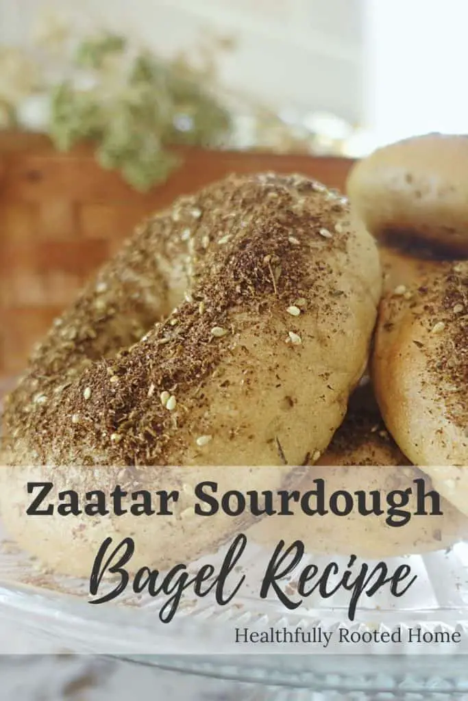 Healthy sourdough bagel recipe flavored with Zaatar seasoning.