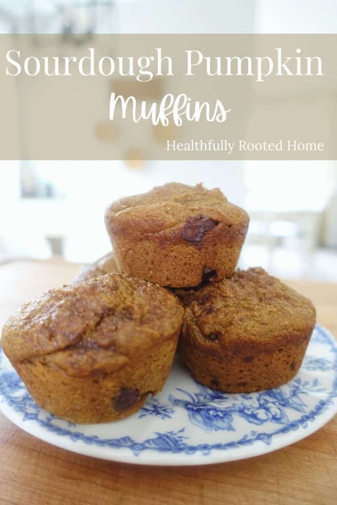 These are the perfect muffins for fall. They are made with clean ingredients so you don't have to feel guilty eating these sourdough pumpkin muffins for breakfast!