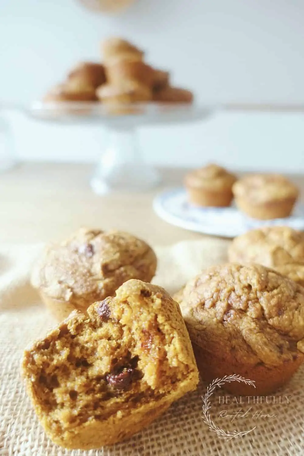Sourdough Pumpkin Muffins with Chocolate Chips