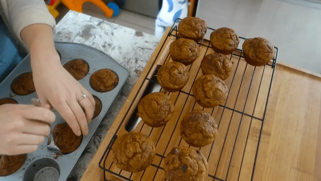 gently lifting the sourdough pumpkin muffins out of the muffin tin and placing on a cooling rack
