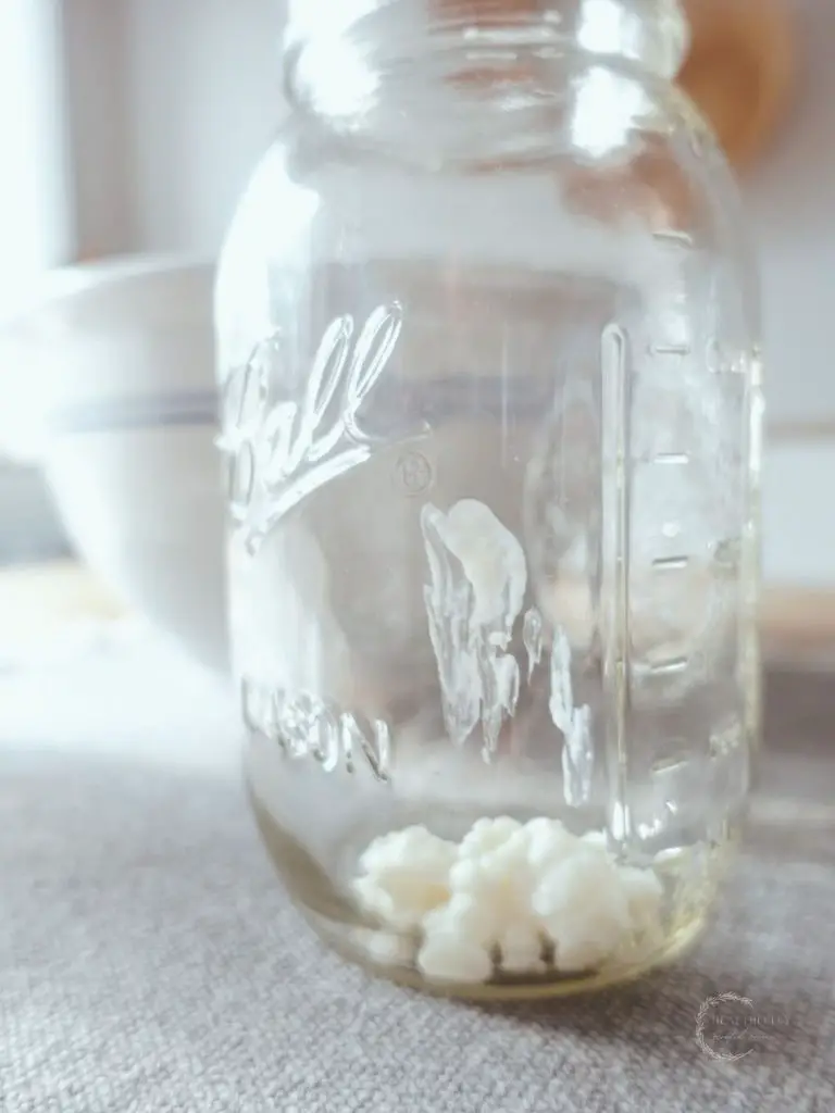 kefir grains inside a mason jar on top of a grey jute placemat in front of a ceramic bowl with blue stripes