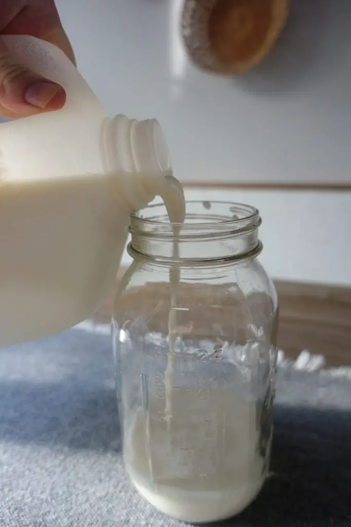 pouring raw milk into a glass mason jar with kefir grains inside