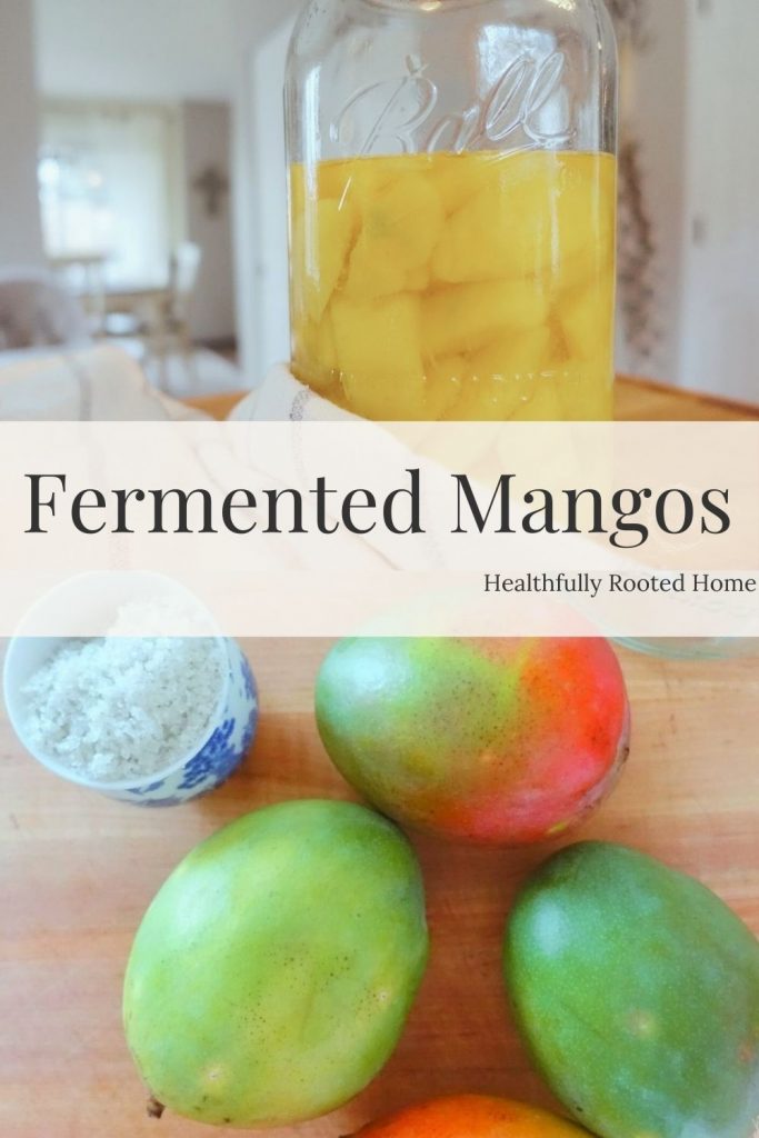 fermented mangos with fresh mangos