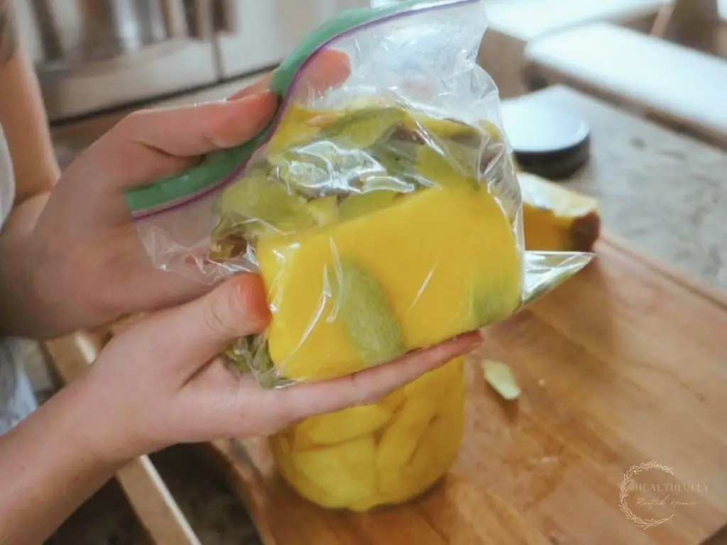 plastic bag with mango cores and peels inside