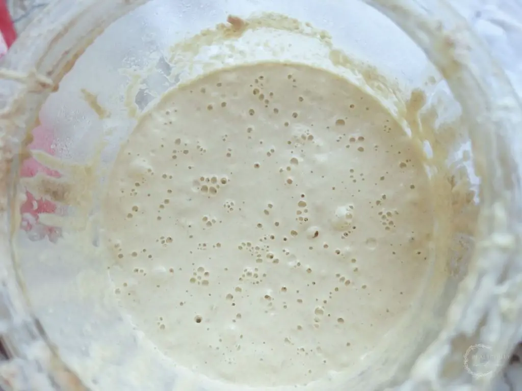 healthy sourdough starter with lots of bubbles and activity revived after bad sourdough experience