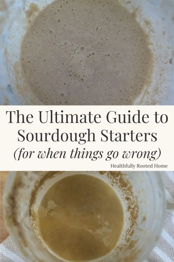 how to revive a bad sourdough starter