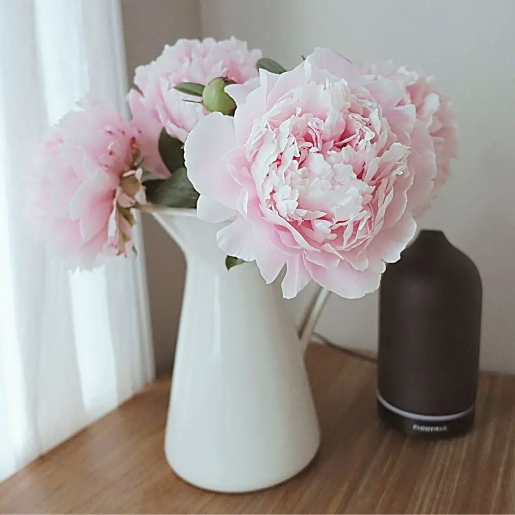 pink peonies in a farmhouse white vase and a paddywax essential oils diffuser