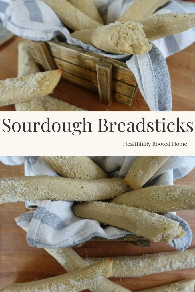 sourdough breadsticks with garlic and parmesan topping