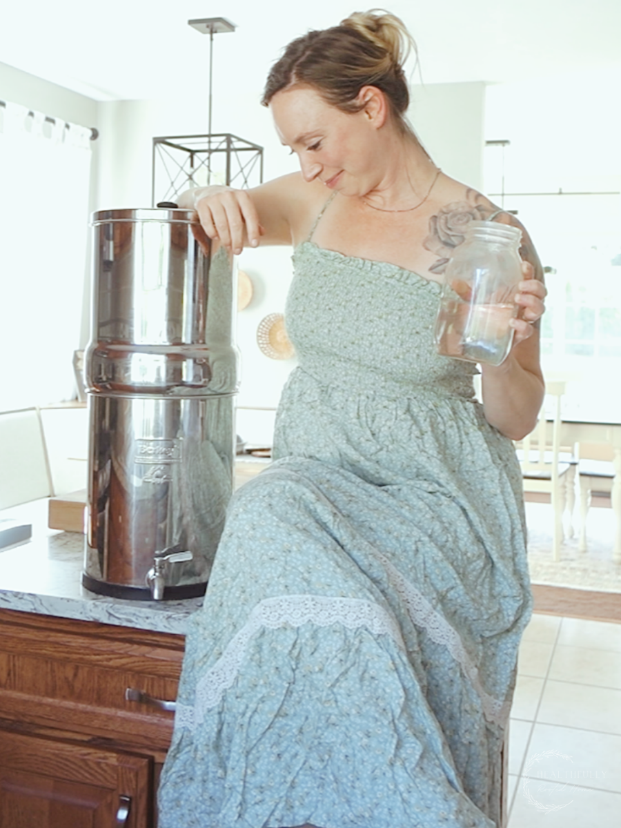 Berkey vs Brita Water Filters Healthfully Rooted Home