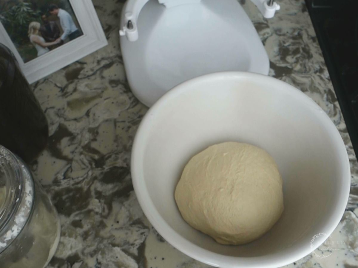 sourdough discard bagel dough after being transferred to a greased bowl