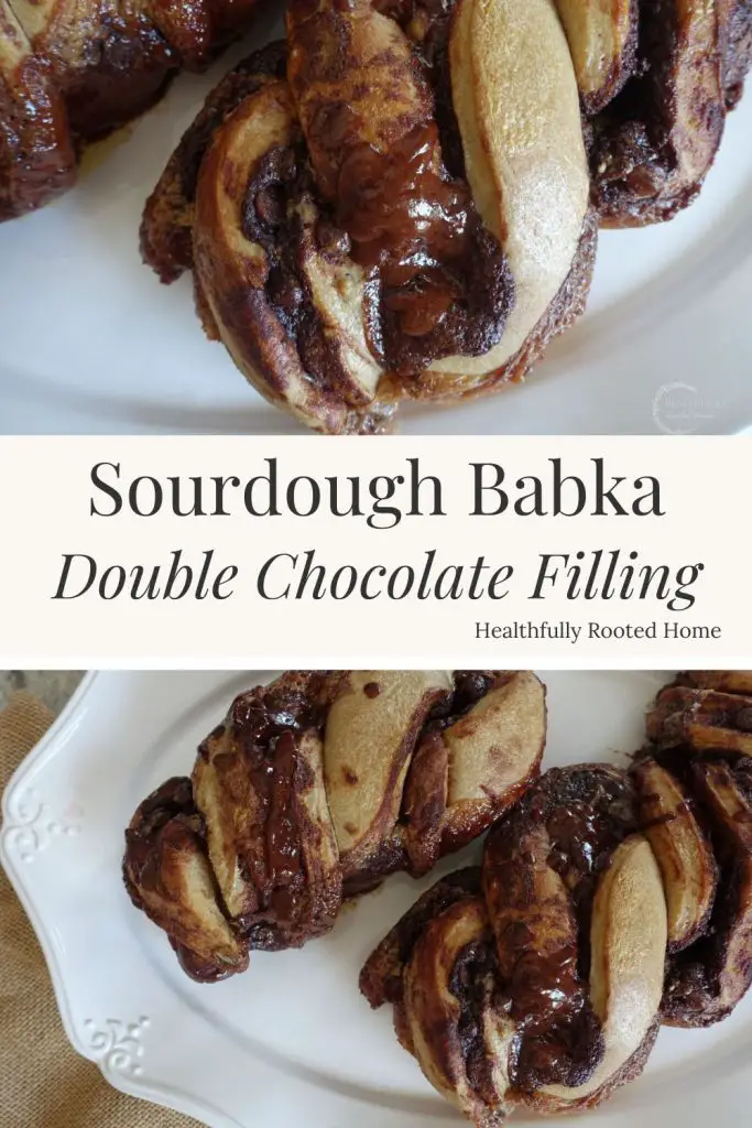 sourdough babka with chocolate filling