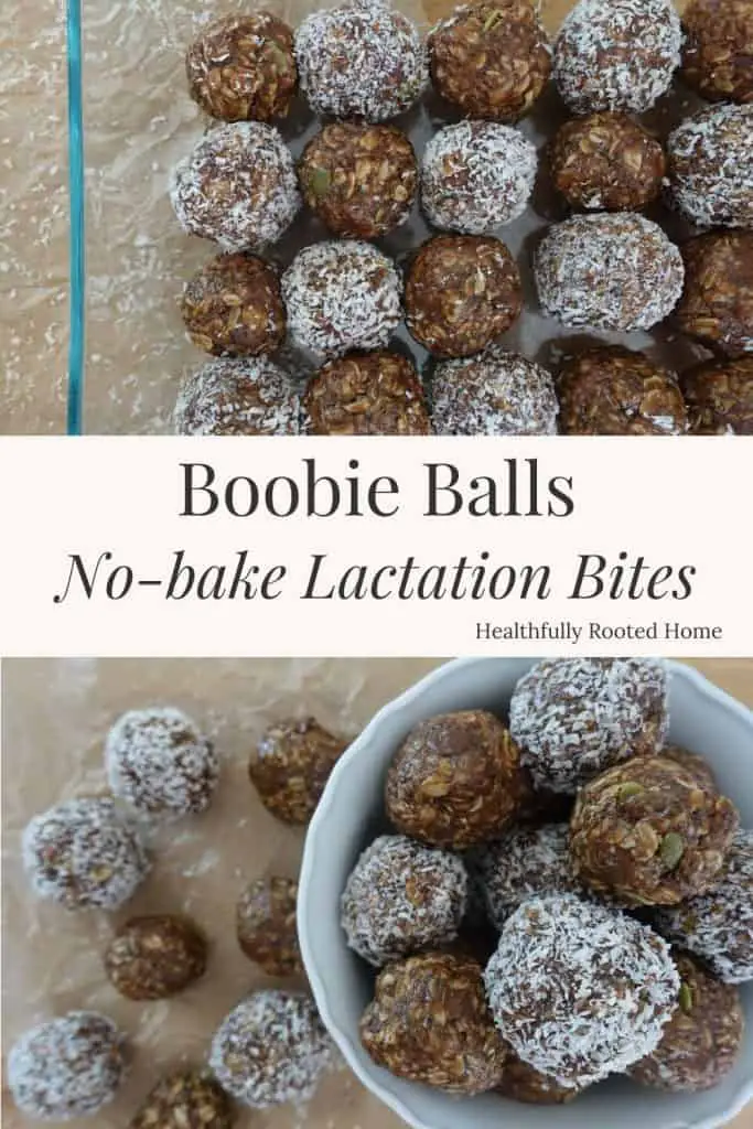 Boobie balls no bake lactation bites recipe