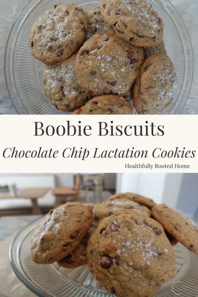 boobie biscuits recipe for chocolate chip lactation cookies