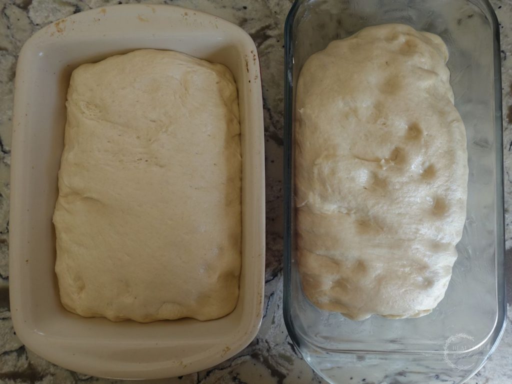 long fermented sandwich bread dough in two loaf pans waiting to be baked after their final rise