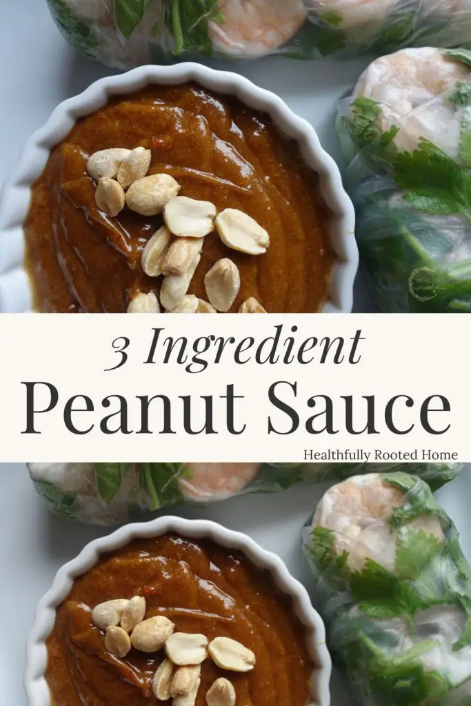 3 ingredient peanut sauce recipe