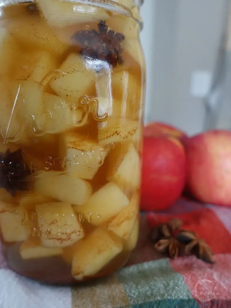 Fermented apples with star anise in a mason jar on a checkered towel and apples in the background