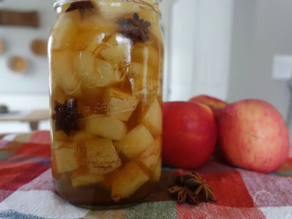 fermented apples on a kitchen counter inside of a jar with apples in the background