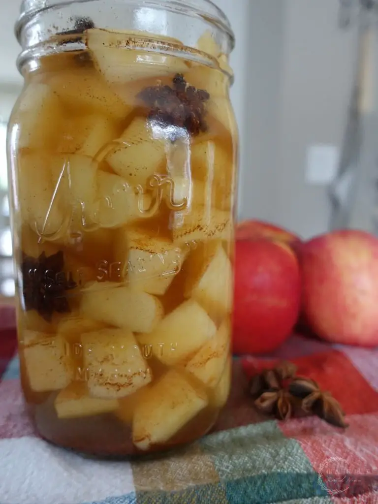 fermented apples in a mason jar with star anise on a checkered red towel