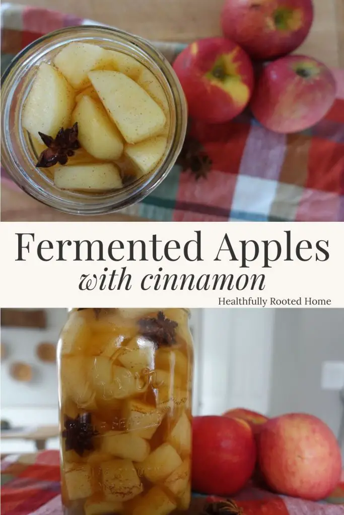 fermented apples with cinnamon
