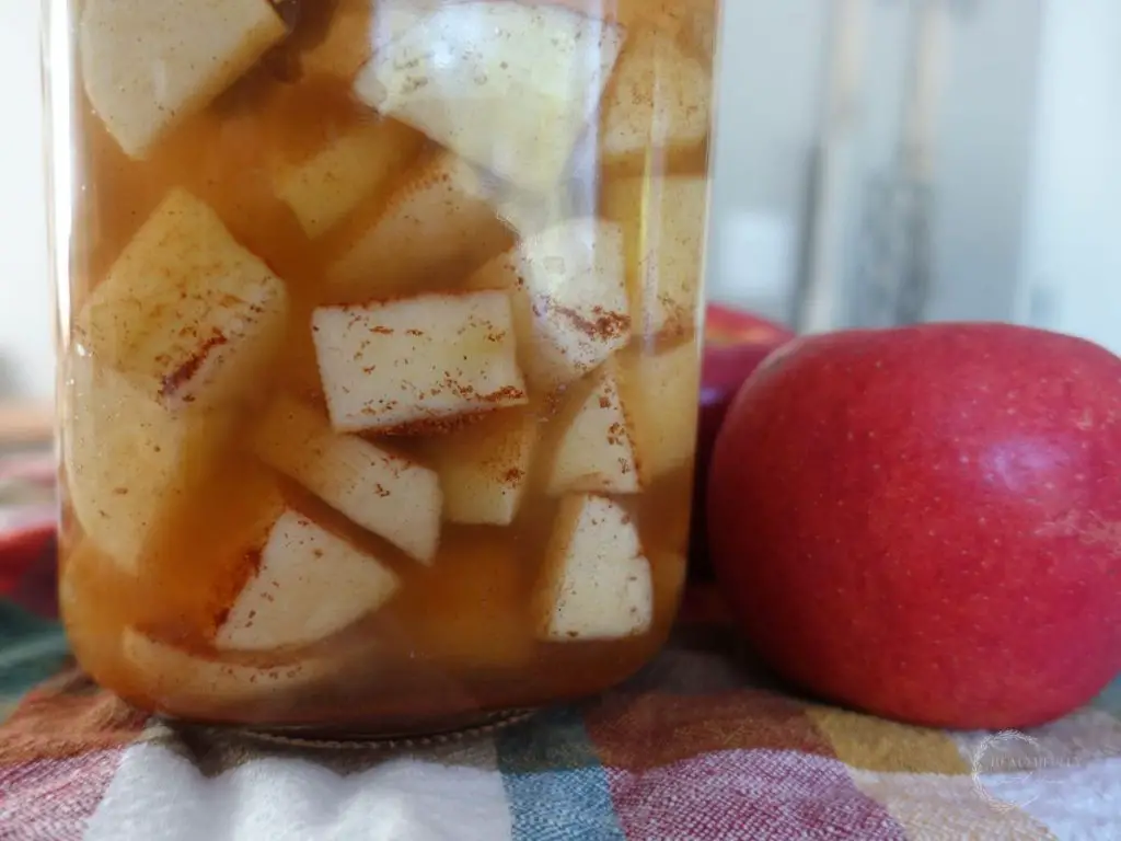 apples fermenting in a fermentation jar with whole apples next to it
