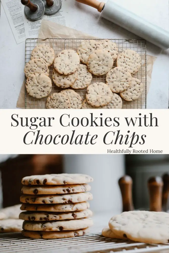 chocolate chip sugar cookies recipe